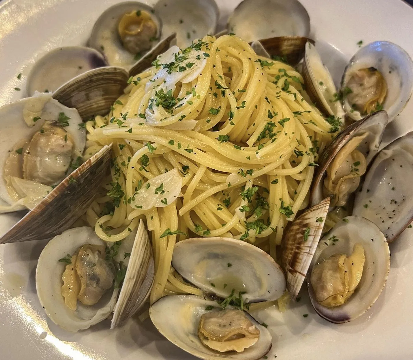 Beautiful plating at Vincenzo Cucina Italiana
